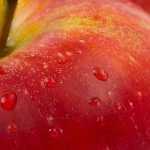 Запасайтесь витаминами: как правильно замораживать ягоды и фрукты