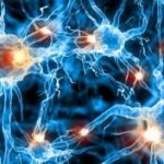 Как держать нервы в порядке: психолог развенчала мифы о нервных клетках