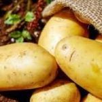 Ученые заявили, что картофель снижает давление