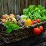 Биотехнолог объяснил, как распознать овощи и фрукты с химикатами