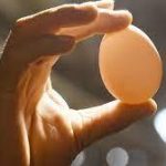 Веганские яйца Just Egg появятся в Южной Африке
