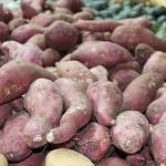 Диетолог развеяла распространенный миф о вреде картофеля 