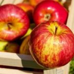 Диетологи рассказали, как влияет на организм ежедневное употребление яблок