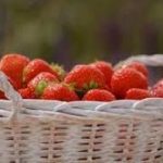 Как вернуть свежесть потемневшим фруктам: 3 быстрых способа