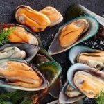 Ученые назвали морепродукты с рекордным содержанием микропластика